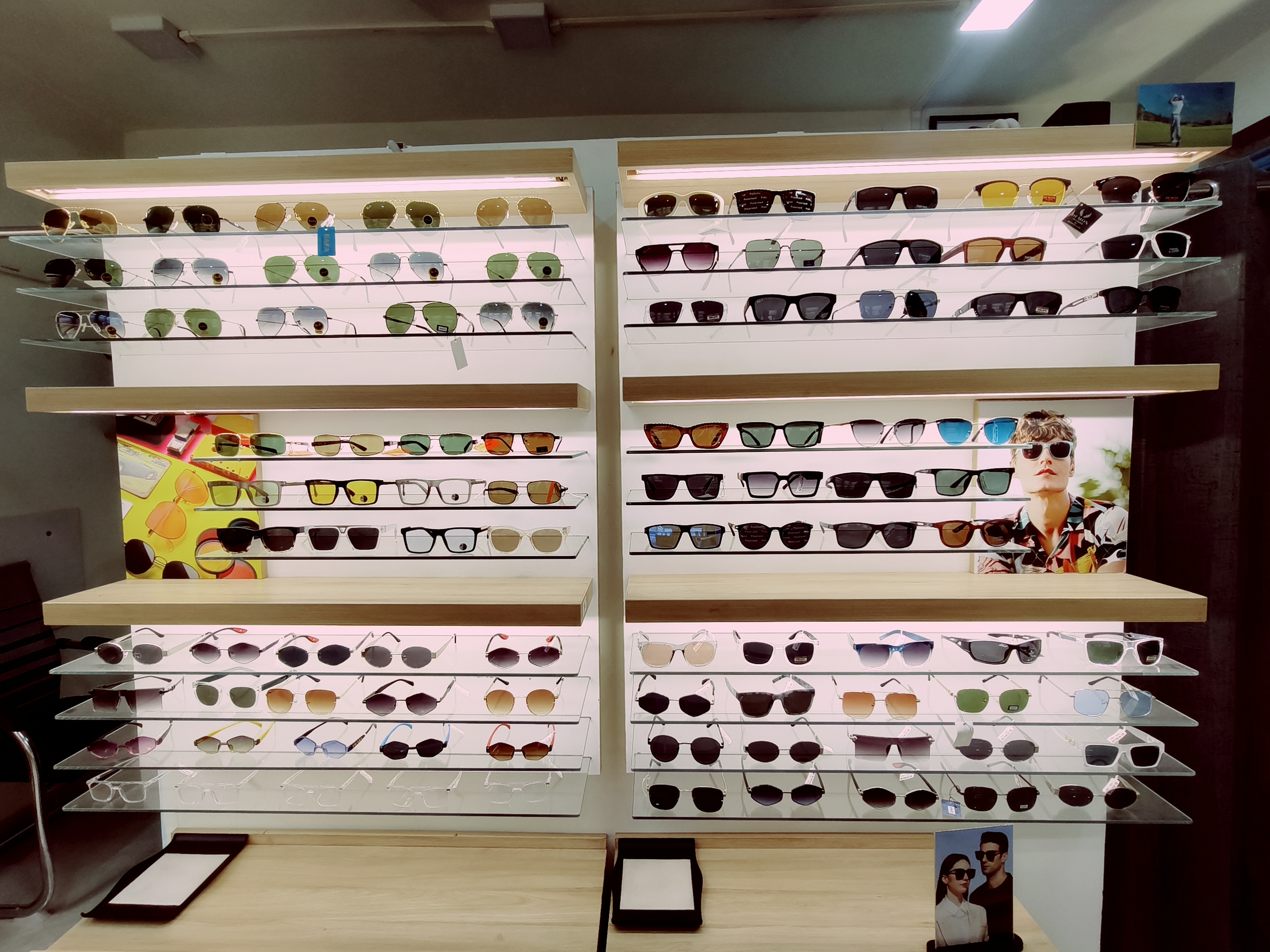 Premium Sunglasses Collection